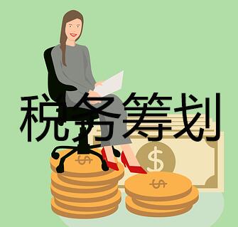 税务筹划 税务筹划