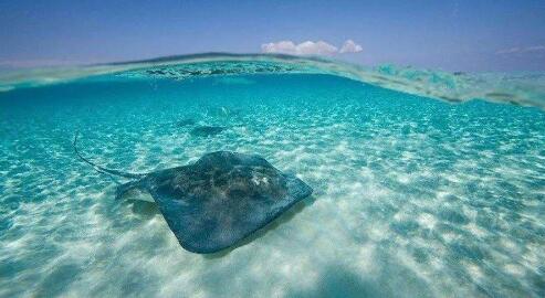 什么是离岸公司,离岸公司有什么优缺点？