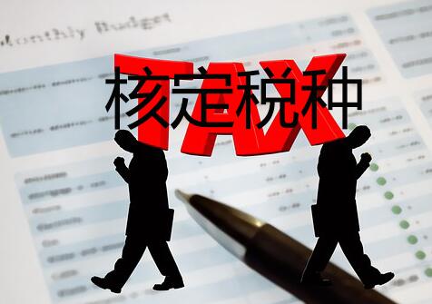 核定税种 核定税种