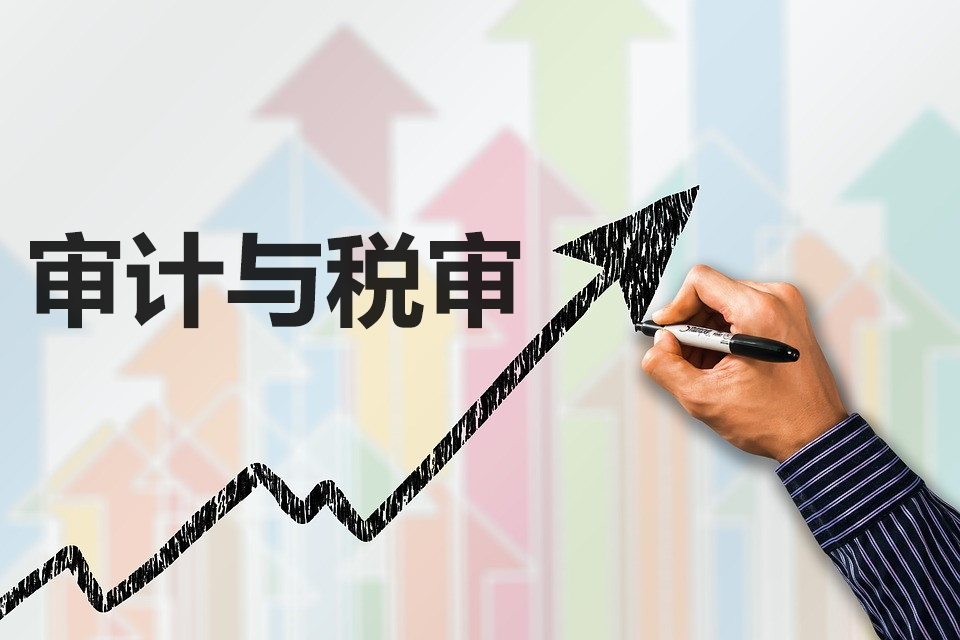 税审报告和审计报告是什么？对企业有什么好处？两者有什么区别