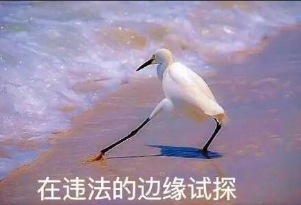 一个广告被罚30万！深圳发出广告宣传导向审查“十禁令”！