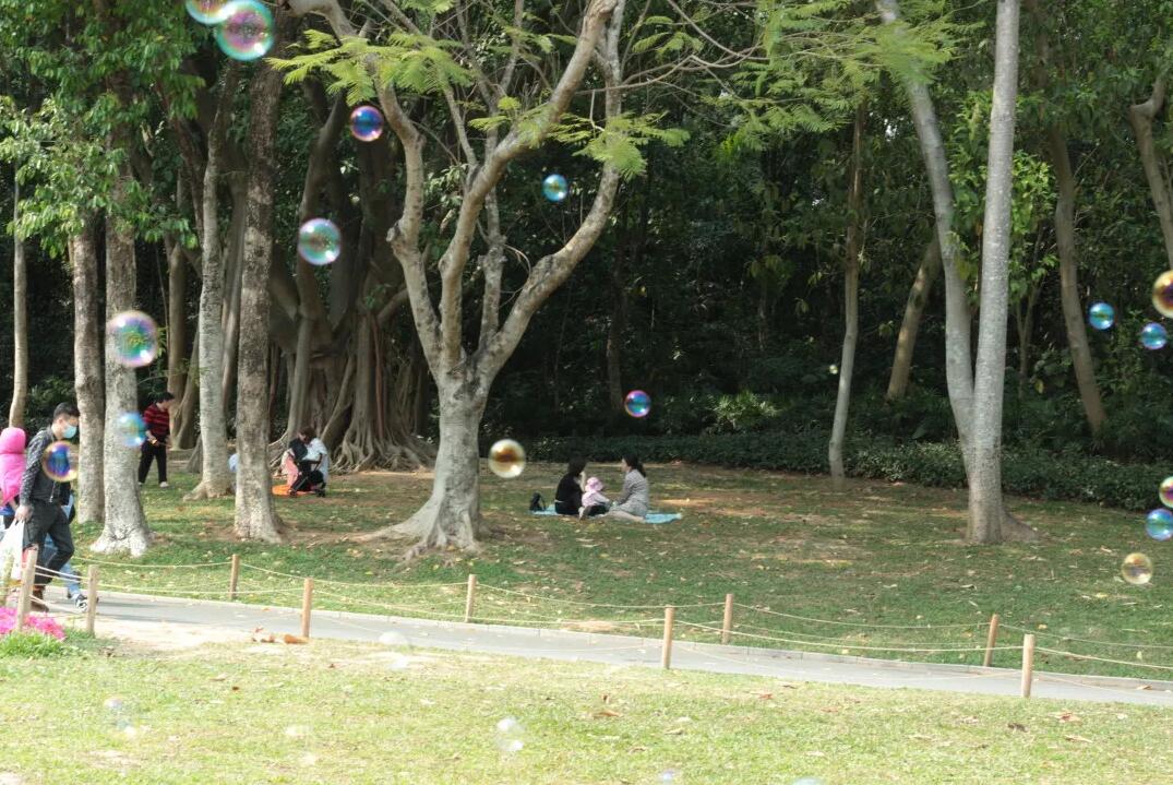 三月春意昂·结伴探春风——君林企业踏青活动掠影 