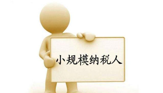 小规模纳税人有销无进，未提供任何进项，将严查！