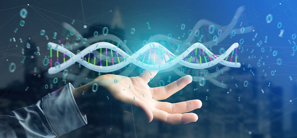 香港公司开户地址证明文件：快速办理香港企业账户的必备文件