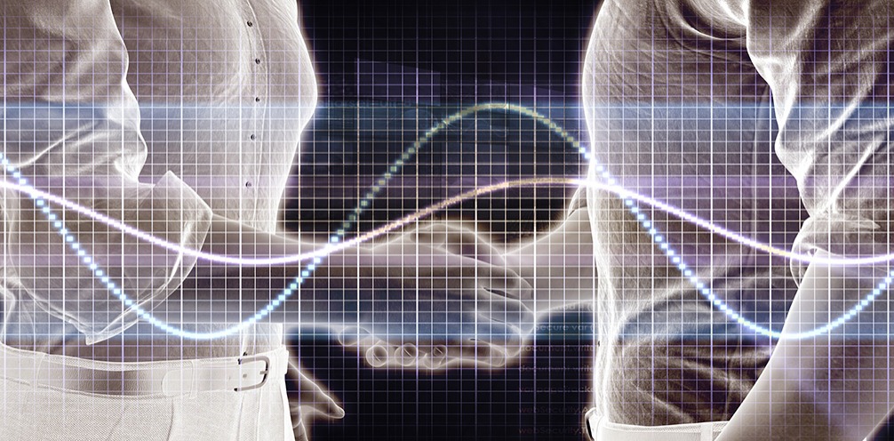 香港公司年审时间和费用揭秘：详解香港工商年检流程
