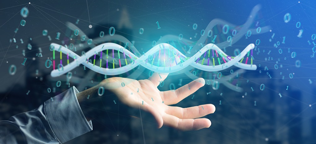 香港注册商标流程步骤详解