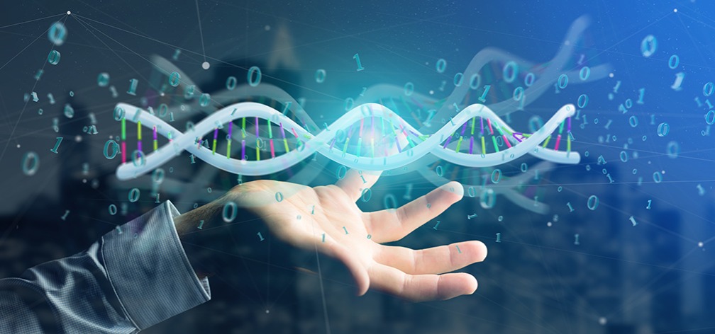 新加坡公司做账审计的要求以及对报税流程的解析