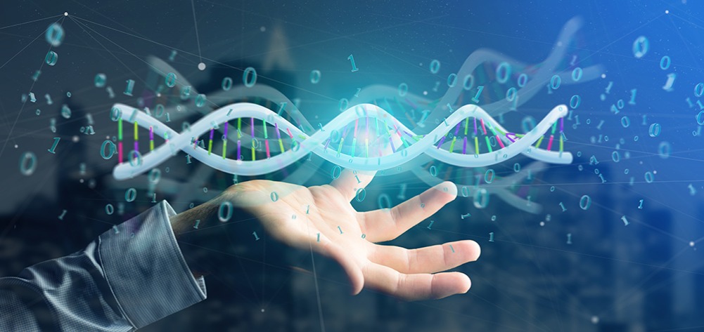 香港离岸公司审计费用的重要性，如何降低费用