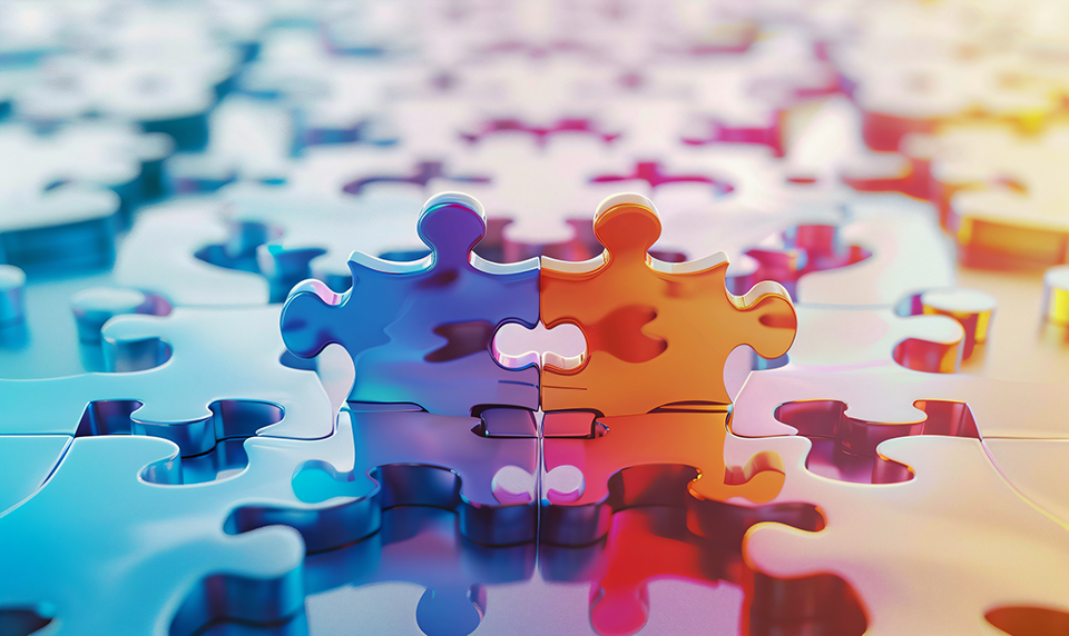 香港公司在国内设立子公司，促进经济合作与发展